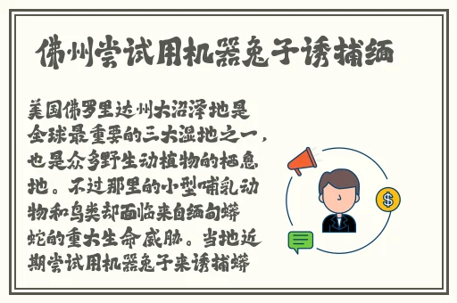 羞羞漫画入口网